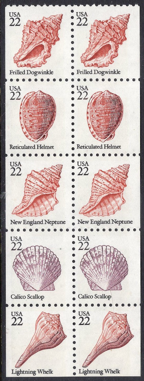 SEA SHELLS Booklet with Shells on Cover - 20 SHELLS (4 each of 5 different) - Issued in 1985 - Seven different Shell Covers exist.  Want the group? Let us know