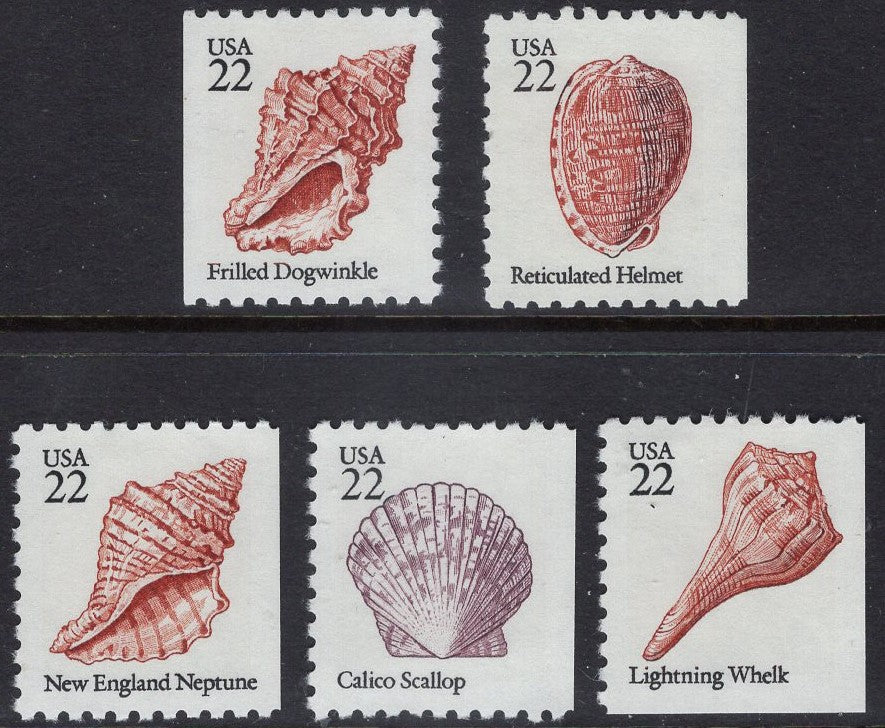 5 Different SEASHELLS SHELLS - Issued in 1985 - s2117