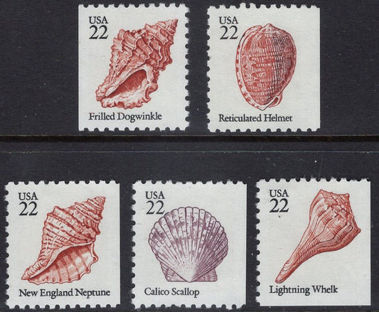5 Different SEASHELLS SHELLS - Issued in 1985 - s2117