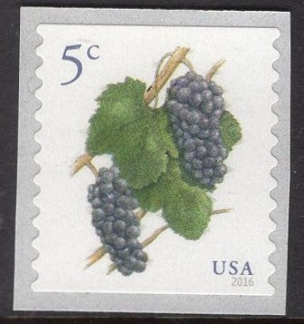 100 GRAPES 5c Coil Self-adhesive FRUIT Stamps - GREAT for WEDDINGS, Invitations, Save-the-Dates - Bright Postage - Issued in 2017