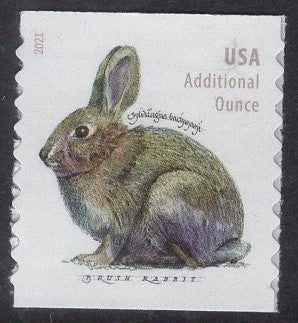 20 BRUSH RABBIT Stamps - Forever valued at the "Additional Ounce" Rate which is 24c today - Great for POLITICS and POLITICAL MAILINGS - Bright Postage - Issued in 2020 - Free USA Ship.