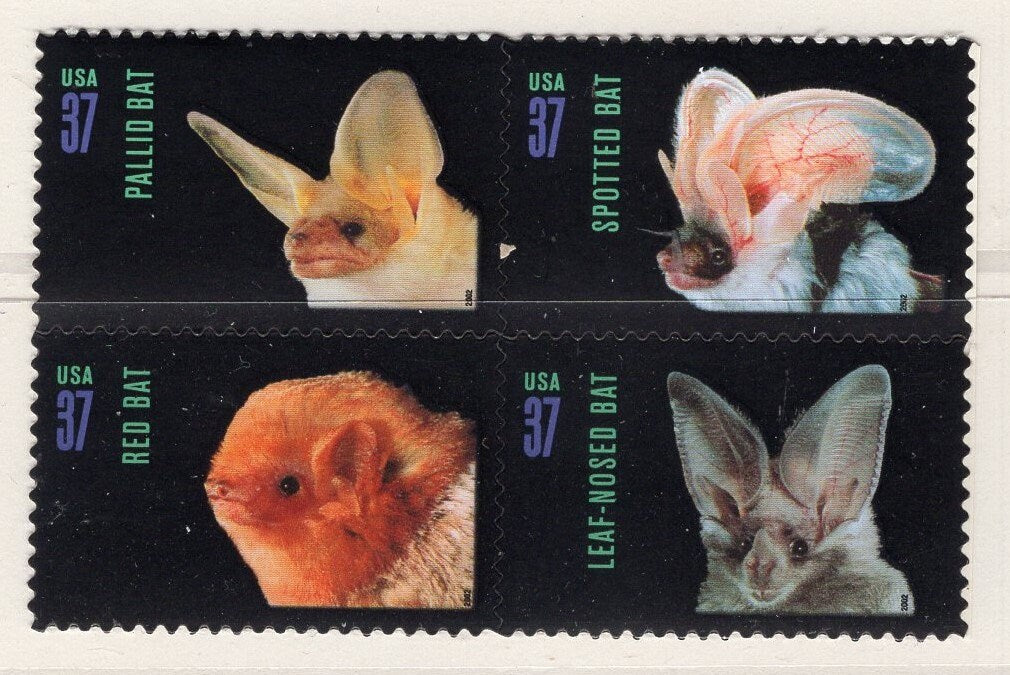 8 AMERICAN BATS (4 different x2) or DECORATIVE Sheet of 20 Unused Fresh Bright Postage Stamps - Quantity Available - #3661