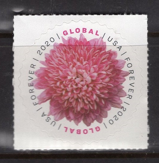 10 CHRYSANTHEMUM GLOBAL FOREVER Mum INTERNATIONAl Stamps Pink Fuchsia USa Bright Fresh Postage Stamps-Stock#5460- Vintage 2020