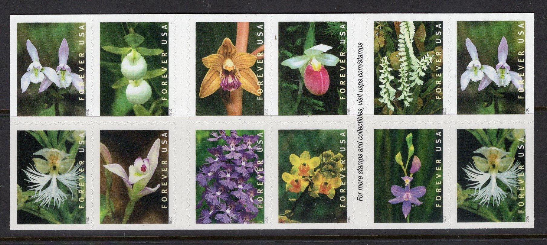 20 ORCHIDS FOREVER STAMPS in Booklet Great for Wedding Invitations Postage Stamps USa Stamps - Vintage 2020 -Stock# 5444 B