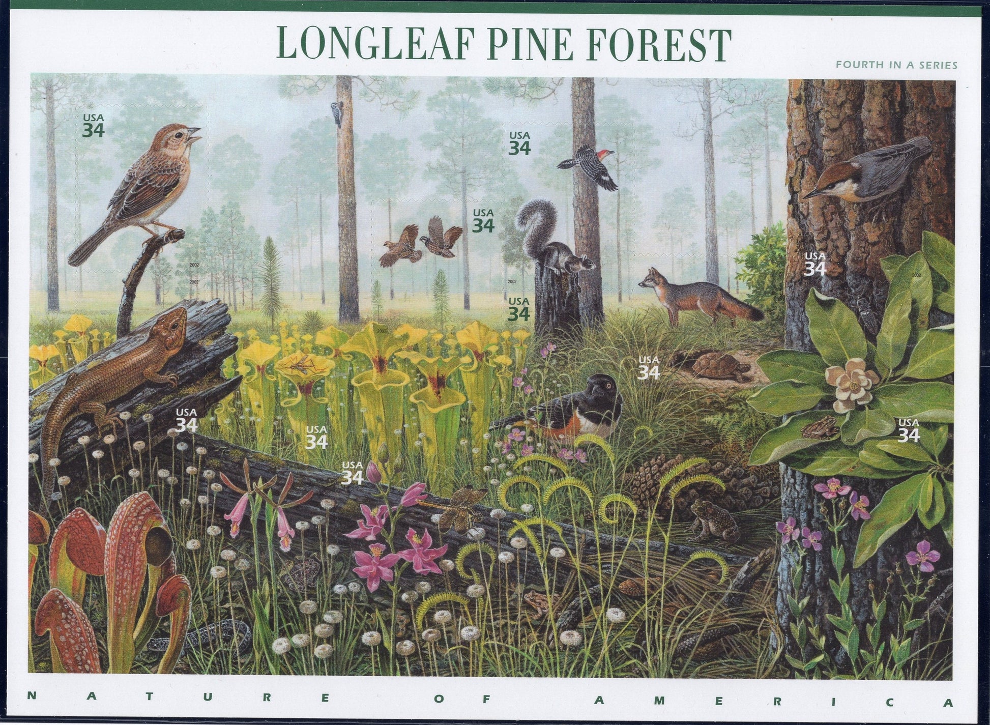 LONGLEAF PINE FOREST Sheet of 10 - Nature of America Series #4 of 12 - Fresh Bright Beautiful- Vintage 2002 - Stock# 3611