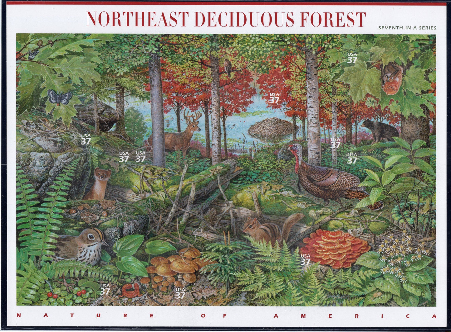 NORTHEAST DECIDUOUS FOREST Beautiful Sheet of 10 - Nature of American Series #7 of 12 - Fresh Bright- Vintage 2007 -Stock# 3899-FreeUSA Ship