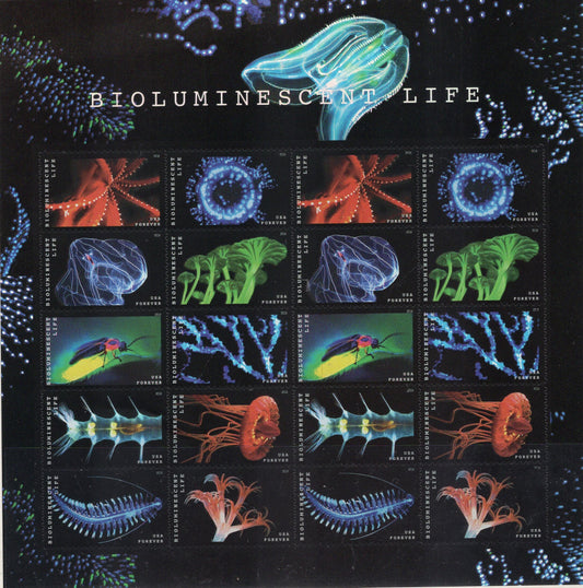 BIOLUMINESCENT BIOLUMINESCENCE Sea LIFE Decorative Sheet of 20 Science Biology Wedding Vintage 2018 Quick Shipping Stock# 5264