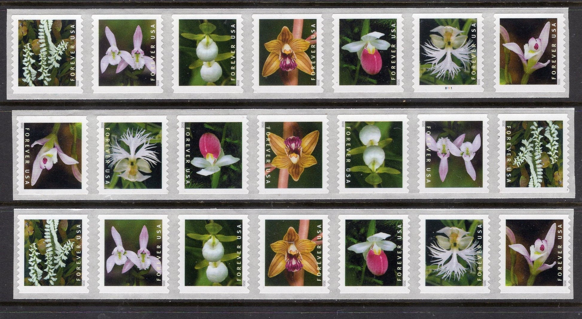 21 ORCHIDS FOREVER in Strips of Seven Great for WEDDINGS Invitations Forever, Bright Usa Postage Stamps - Vintage 2020 