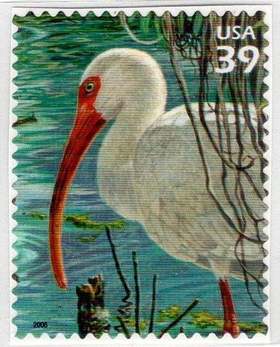 5 WHITE IBIS Bird - Tough to Find USa Postage Stamps ! - Vintage 2006 - Stock# 4099j