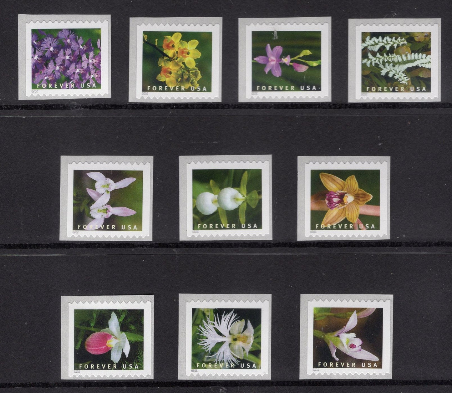 10 DIFFERENT ORCHIDS FOREVER Single Stamps Bright Fresh USa Postage - Vintage 2020 ping