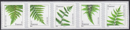 25 FERN FOREVER Ferns Coil Stamps Strips of 5 Mint Stamps Great for Invitations Weddings - US Postage Vintage 2015 -Stock#Fern-FreeUSA Ship