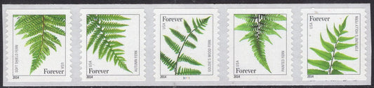 25 FERN Ferns Coil Stamps in Strips of 5 Mint Stamps Great for Invitations Weddings - US Postage Vintage 2015 -Stock#Fern-FreeUSA Ship