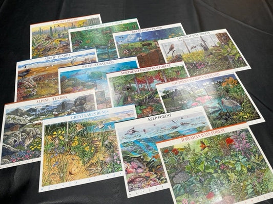 NATURE of AMERICA SCENES 12 Different Sheets of 10 - Hawaii Coral Fresh Bright Beautiful - Vintage 1999- -Stock# WoA 