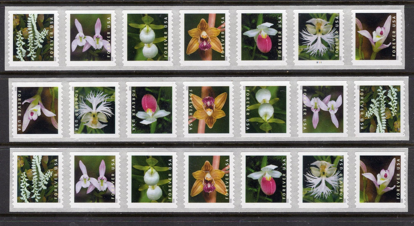 21 ORCHIDS WEDDINGS INVITATIONS in Strips of 7 Bright Usa Postage Stamps ping