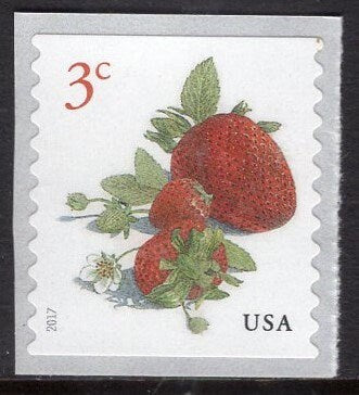 100 RED STRAWBERRIES 3c Stamps Mint 12 Strips of 8 + 1 Strip of 4 - FRUIT Unused Fresh, Bright Postage Stamps - Vintage 2017-FreeUSA Ship