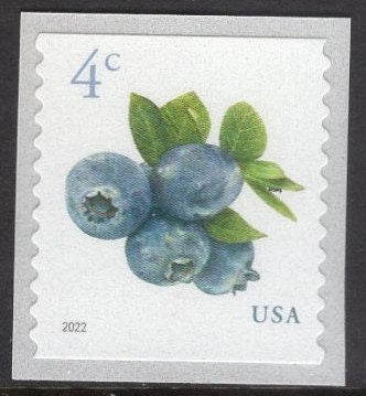 100 BLUEBERRIES 4c Stamps Mint 12 Strips of 8 + 1 Strip of 4 - FRUIT Unused Fresh, Bright US Postage Stamps 