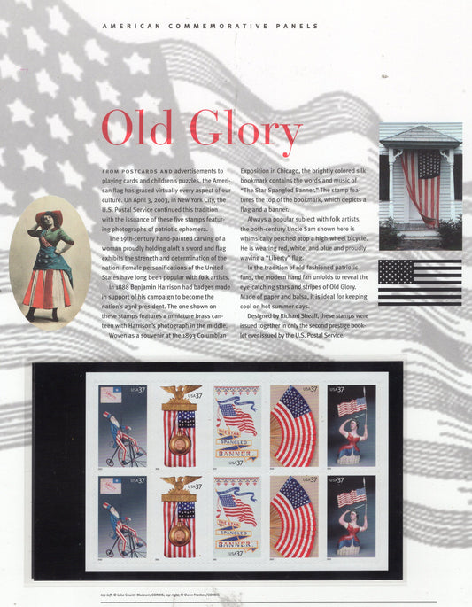 OLD GLORY FLAG Commemorative Panel with Block of 10 Stamps Illustrations Descriptive Text Great Gift 8.5x11 - Vintage 2003