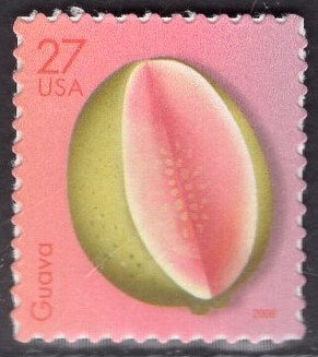 11 TROPICAL FRUIT 27c Stamps - Great for Invites to Summer Parties Showers Weddings Dinners et al - Bright Fresh Postage Stamps FreeUSA Ship