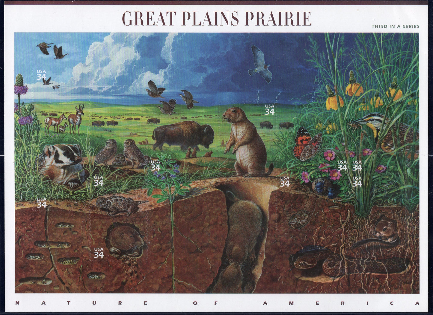 GREAT PLAINS PRAIRIE Scene Sheet of 10 - Nature of America Series #3 of 12 - Bright Beautiful- Issued in 2001 - s3506