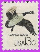 10 Canada Goose - Birds - Unused Fresh, Bright US Postage Stamps - Issued in 1978 - s1757c -