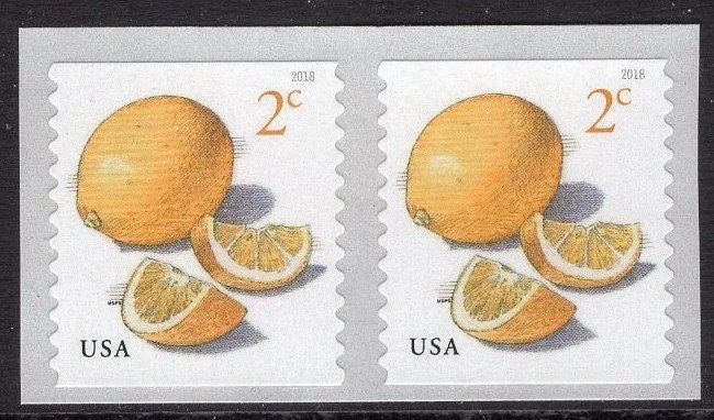 100 MEYERS LEMON 2c Stamps Mint 12 Strips of 8 + 1 Strip of 4 - FRUIT Unused Fresh, Bright Postage Stamps -