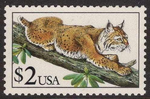 2 BOBCAT on Tree Branch High Value Animal - Bright, unused US Postage Stamps - Issued in 1990 - s2482 -