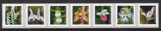 7 Different ORCHIDS in Strip of Seven Great for WEDDINGS FOREVER, Bright US Postage Stamps - Issued in 2020 -