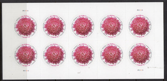 10 CHRYSANTHEMUM GLOBAL FOREVER Mum INTERNATIONAl Stamps Pink Fuchsia USA Bright Fresh Postage Stamps - s5460- Issued in 2020 -