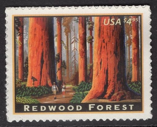 1 REDWOOD FOREST Sequoia National Park Landmark Priority Stamp Bright Fresh USA Postage Stamp - Issued in 2009 - s4378 -