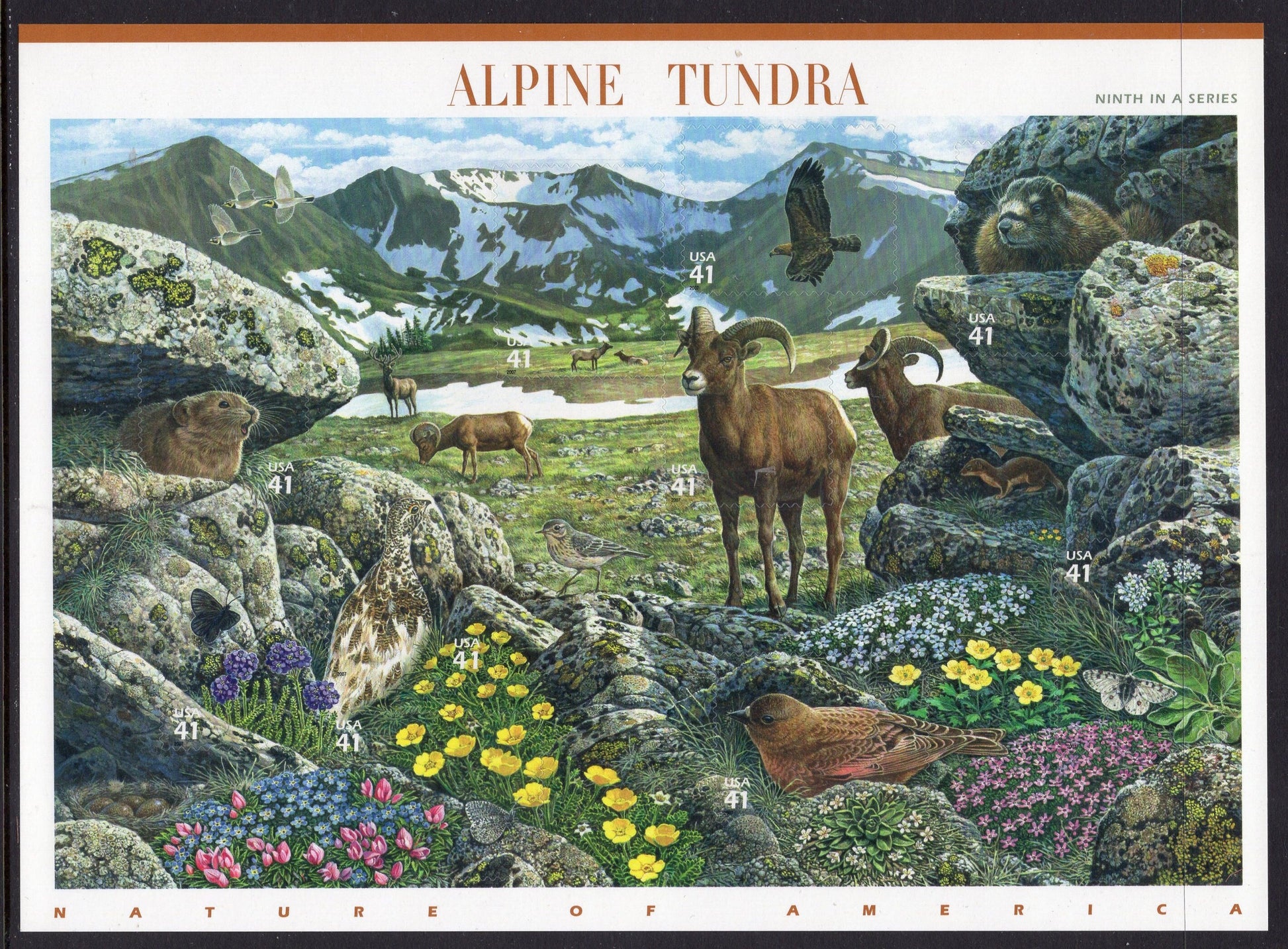 ALPINE TUNDRA Beautiful Sheet of 10 - Nature of America Series #9 of 12 - Fresh Bright - Issued in 2007  - s4198 -