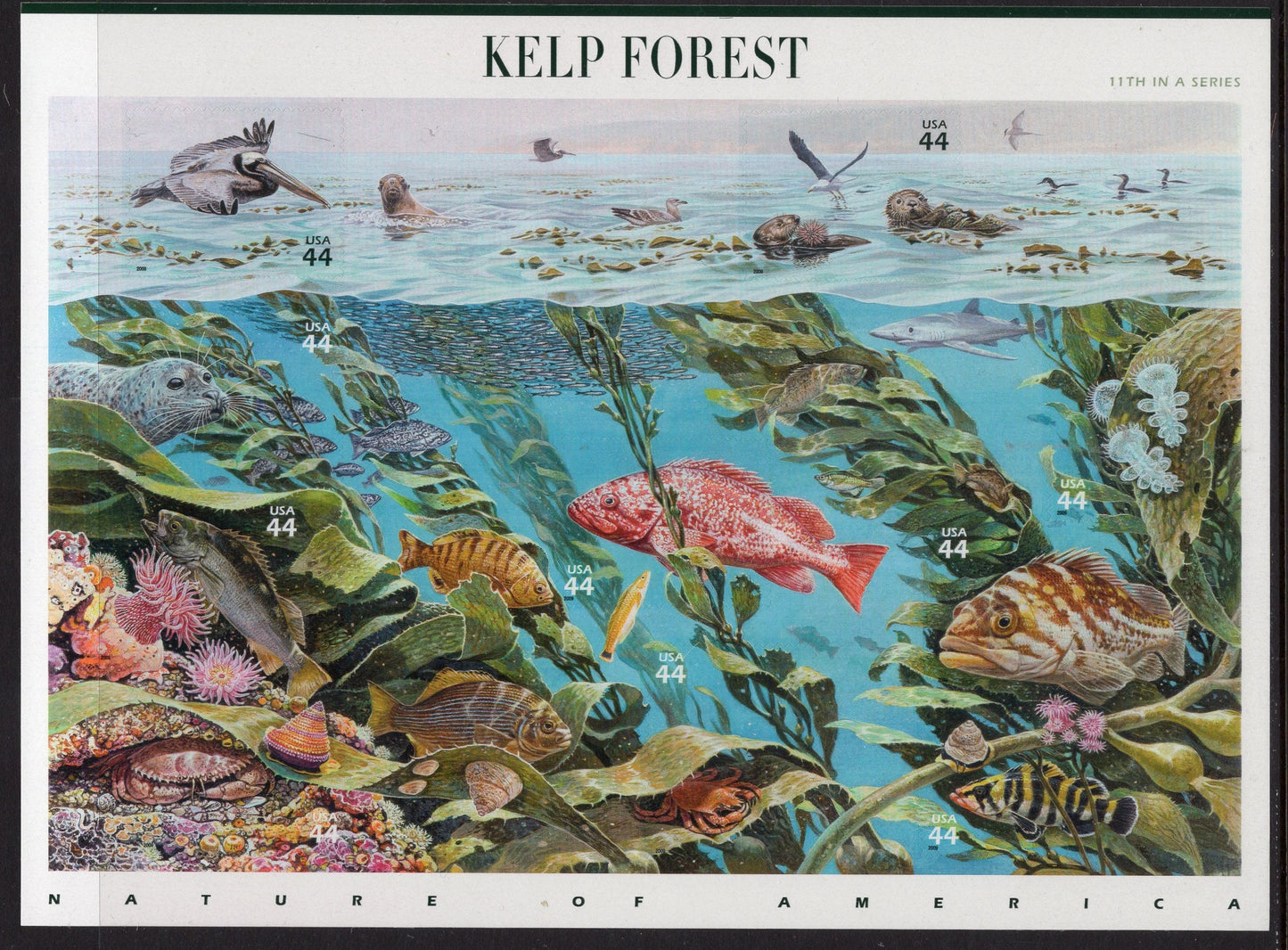 KELP UNDERWATER FOREST Beautiful Sheet of 10 - Nature of America Series #11 of 12 - Fresh Bright - Issued in 2009 - s4423 -