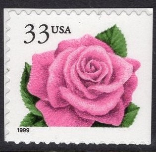 10 PINK CORAL ROSE Flower Wedding Suitable - Bright Fresh 33c Postage Stamps - Quantity available - Issued in 1999 - s3052 -