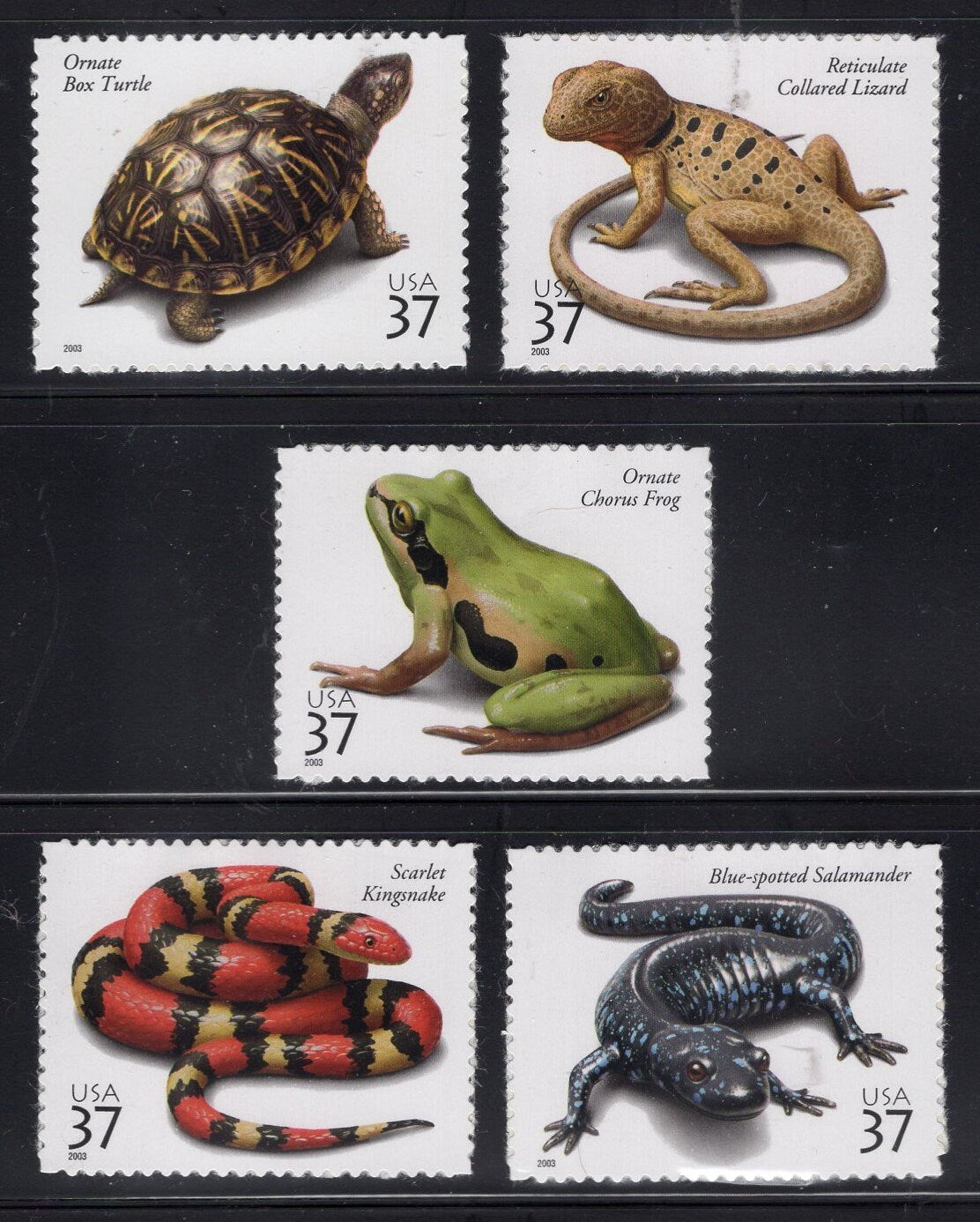 10 REPTILES inc TURTLE KINGSNAKE Frog Salamander Lizard (2 each) 37c Bright Fresh Stamps Issued in 2003 - s3814 -