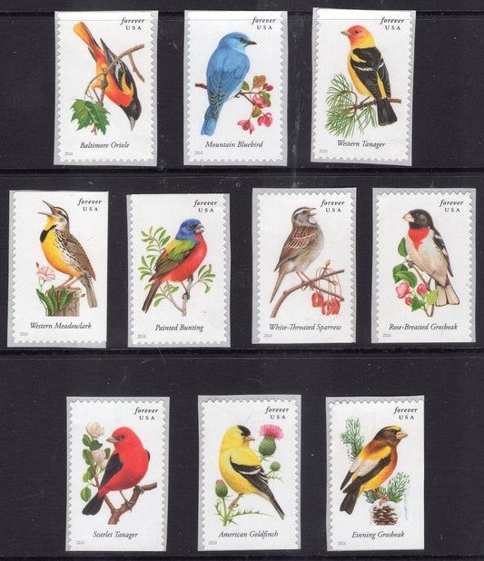 10 BEAUTIFUL SONGBIRDS FOREVER Stamps Lark Bluebird Oriole Tanager Finch Postage Stamps Collection - Issued in 2014- s4482 -